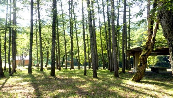 前坂キャンプ場