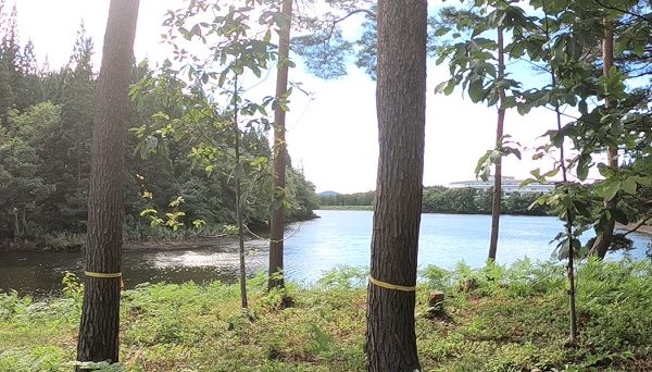 北欧の杜公園オートキャンプ場