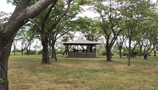 南の池公園キャンプ場