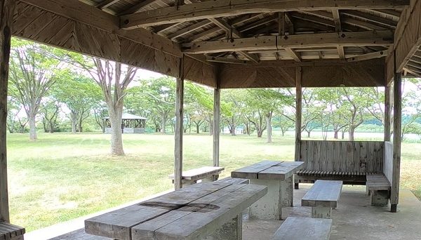 南の池公園キャンプ場
