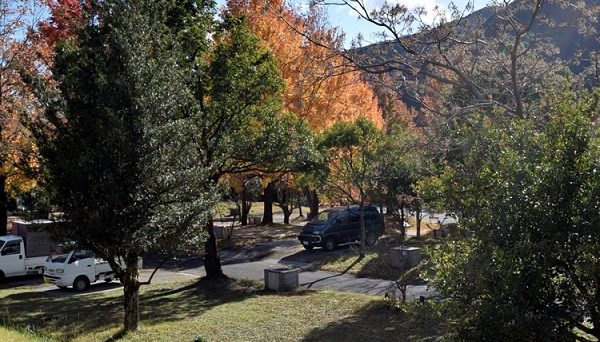 四万十カヌーとキャンプの里かわらっこ