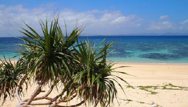 大泊ビーチ＆キャンプ場