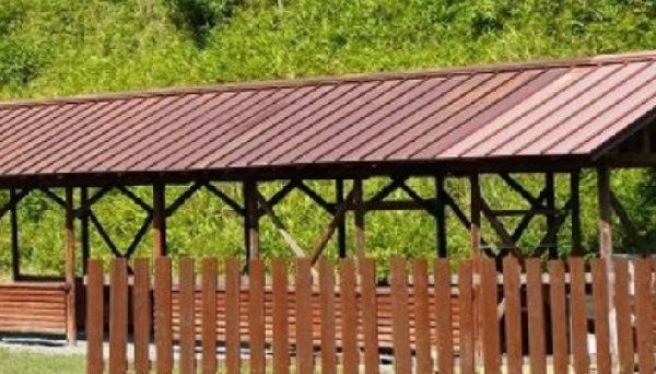 天滝公園キャンプ場