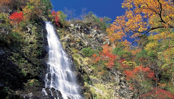 天滝公園キャンプ場