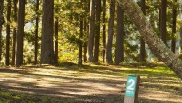 天滝公園キャンプ場