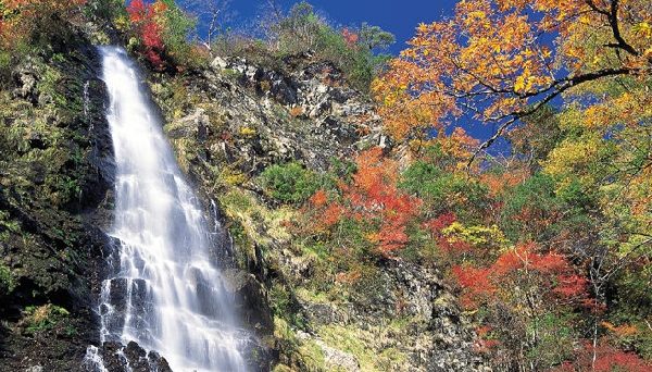 天滝公園キャンプ場
