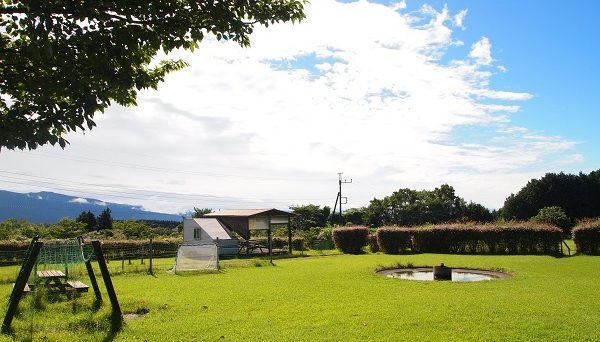 富士すそ野ファミリーキャンプ場