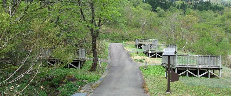 小池公園キャンプ場