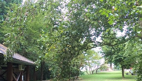 平川市自然の森キャンプ場