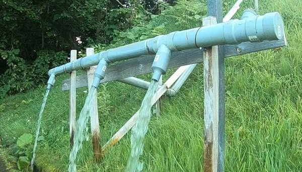 弥生いこいの広場オートキャンプ場