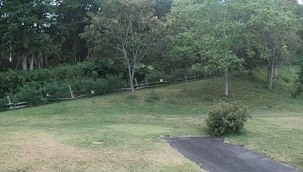 弥生いこいの広場オートキャンプ場