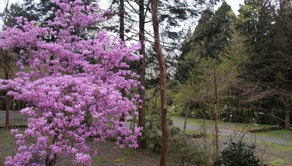 朝霧高原オートキャンプ場
