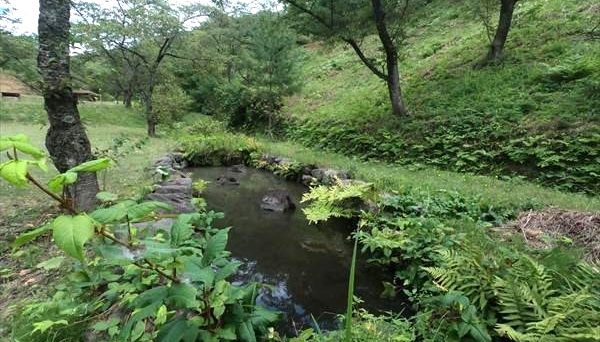 石倉山公園キャンプ場 石倉山公園キャンプ場