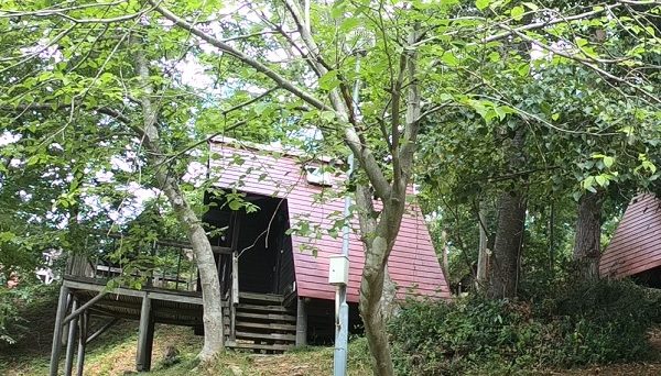 石倉山公園キャンプ場 石倉山公園キャンプ場