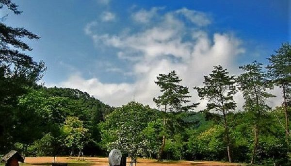 自然の森ファミリーオートキャンプ場