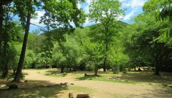 自然の森ファミリーオートキャンプ場