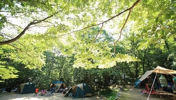 自然の森ファミリーオートキャンプ場