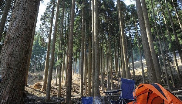 若杉高原おおやキャンプ場