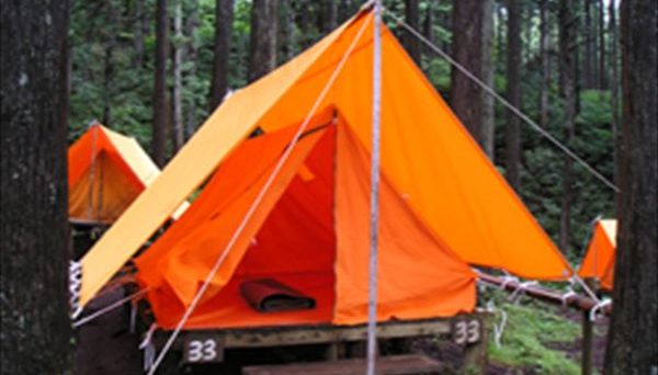 足柄森林公園 丸太の森