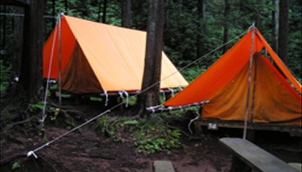 足柄森林公園 丸太の森