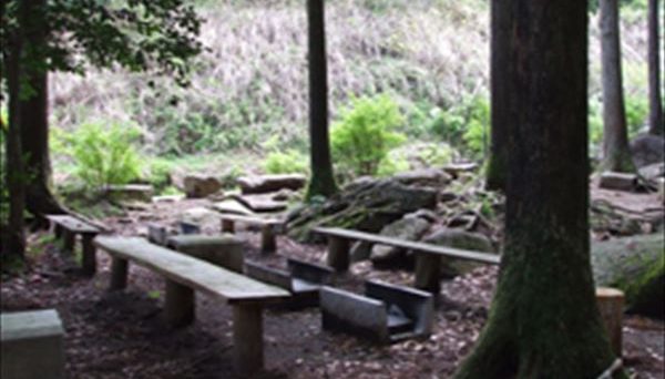 足柄森林公園 丸太の森