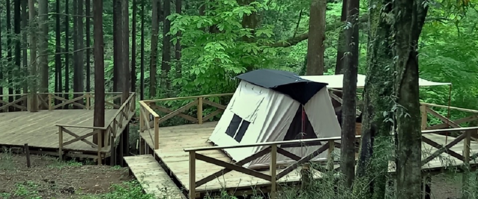 足柄森林公園　丸太の森
