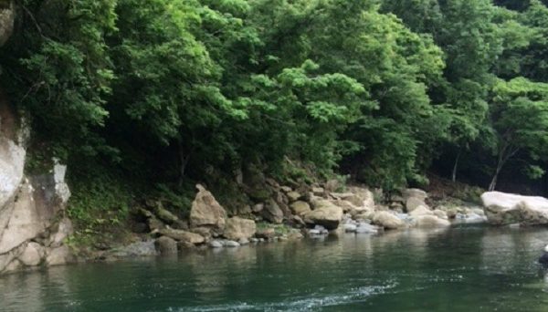 青野原野呂ロッジキャンプ場