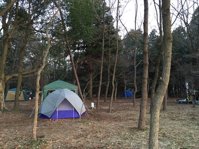 
L.L.Beanドームテント