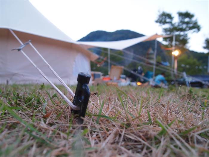 ノルディスク　アスガルド