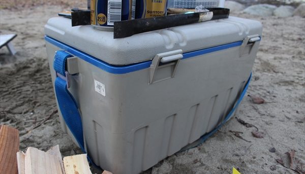 Peacock COOL BOX OC-250