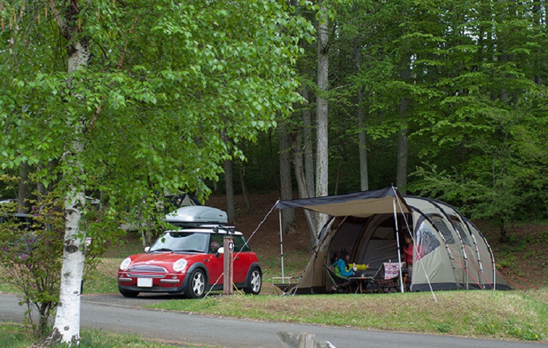 ROBENS TRIPLE DREAMER