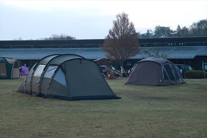 ROBENS TRIPLE DREAMER