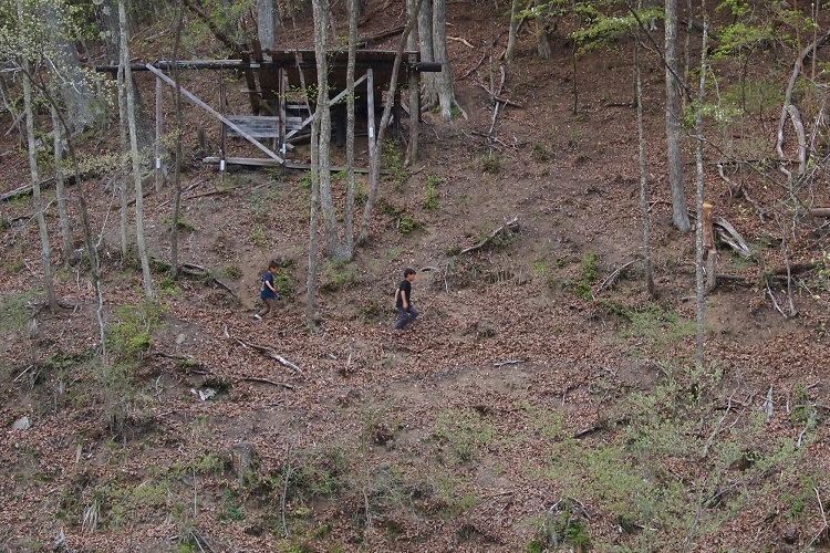 キャンプと教育