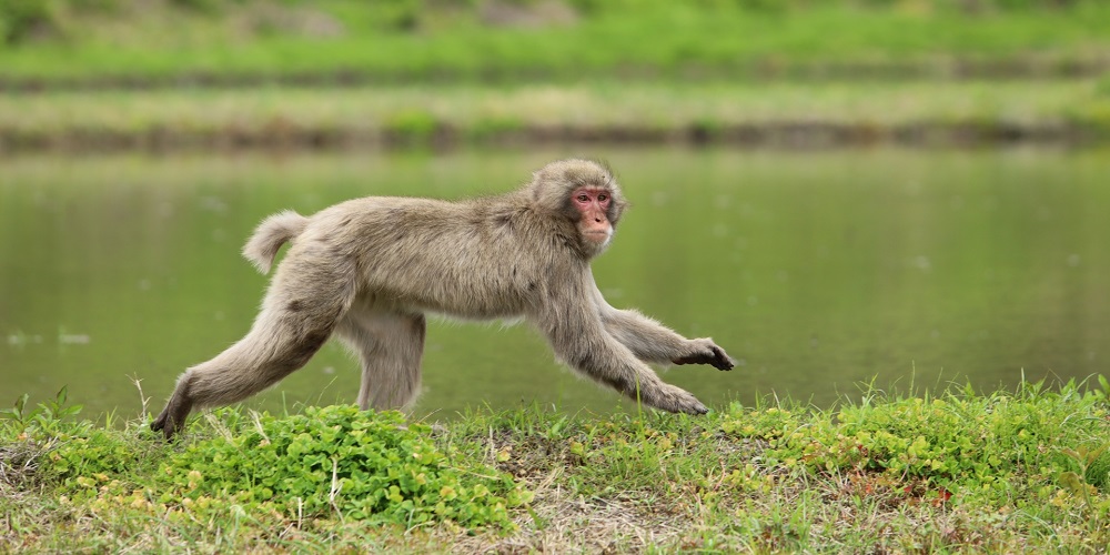 キャンプの危険