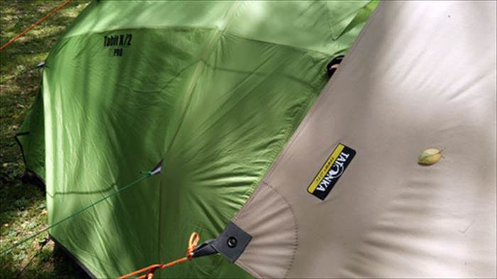 タトンカタープ