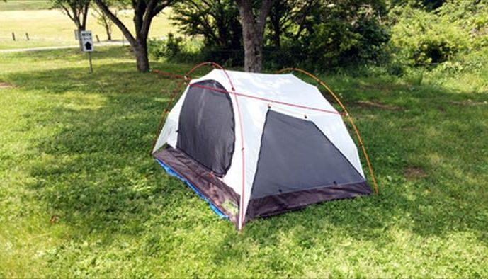 コールマンタビト