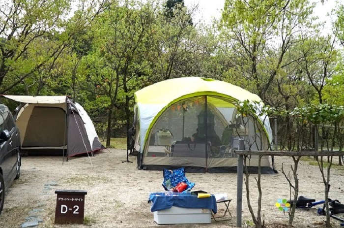 コールマン｜ウェザーマスターブリーズドーム270