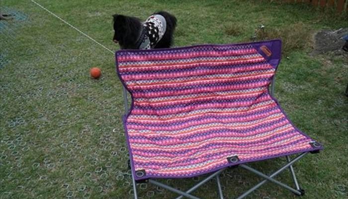 コールマン｜ファンチェア ダブルフェスウェーブ