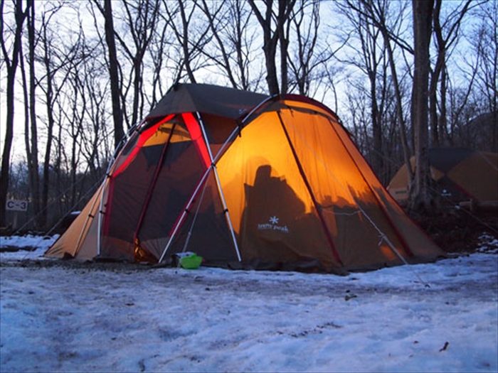 シェルシールド