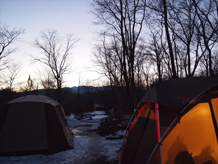 シェルシールド