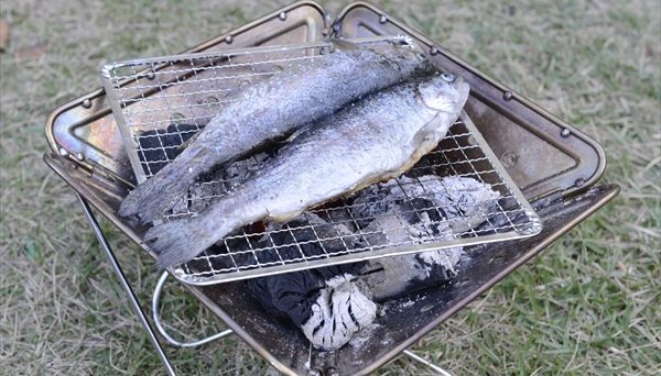 スノーピーク 焚火台S スノーピーク 焚火台S