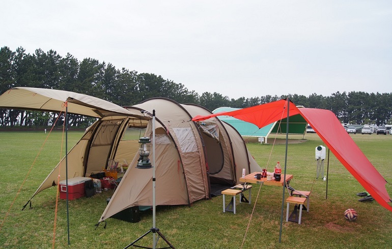 ノルディスク　レイサ６