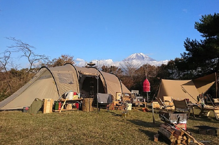 ノルディスク　レイサ