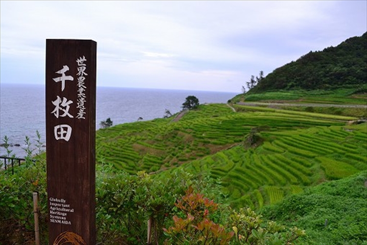 世界遺産千枚田