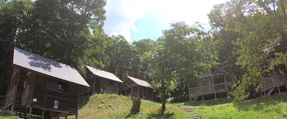 中浦ヒメサユリ森林公園