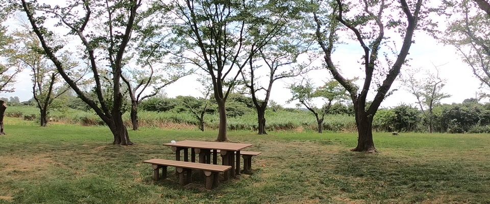 南の池公園キャンプ場