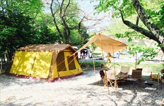 小川キャンパルミネルバ N01