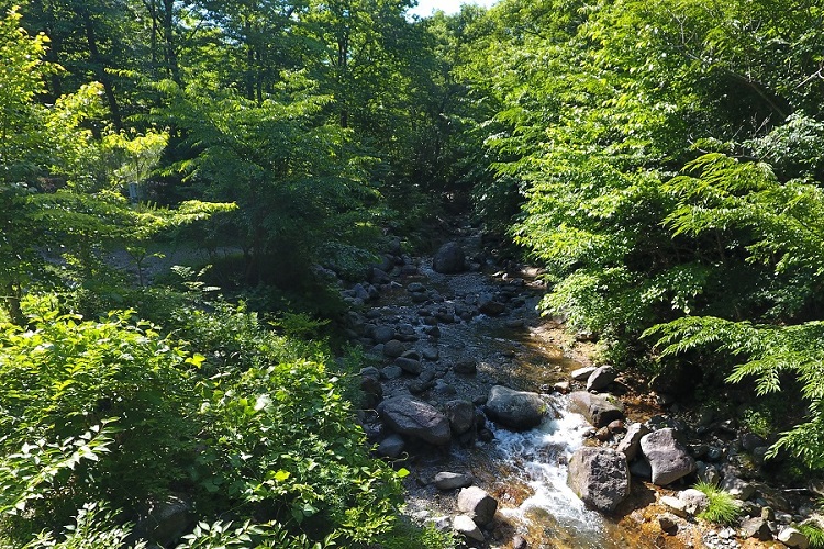 川沿いキャンプ場