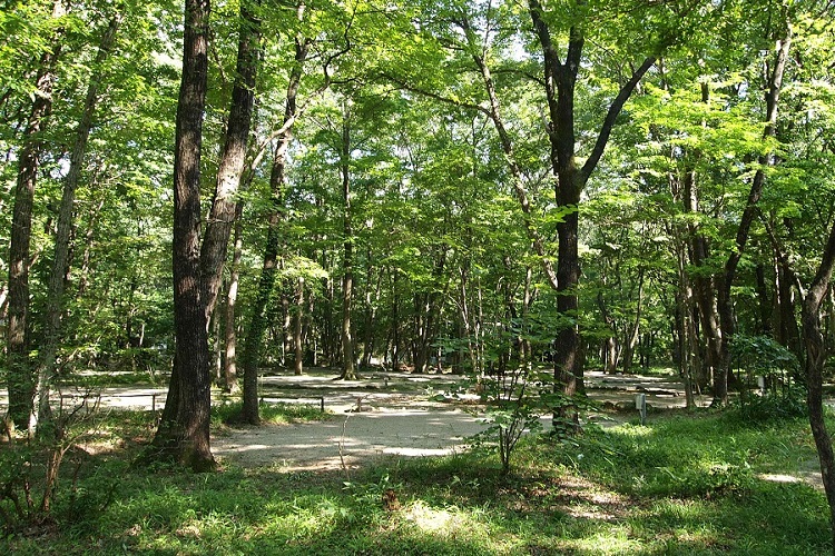 林間キャンプ場